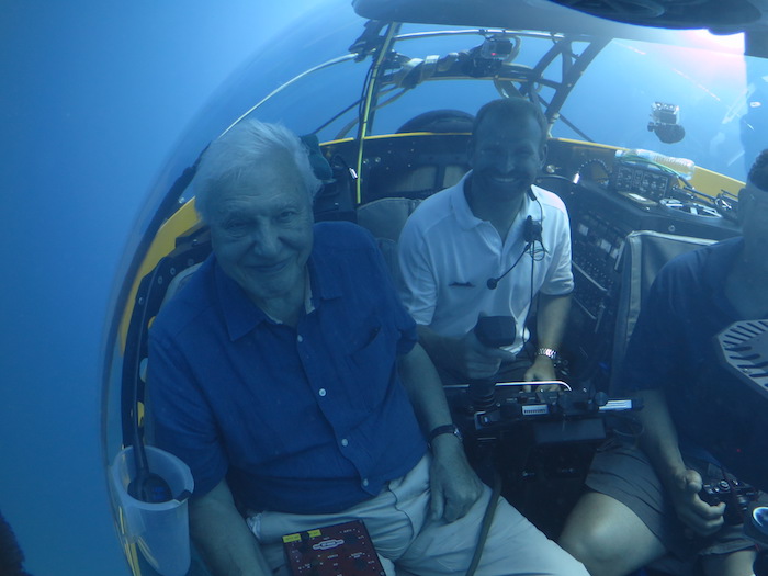 David Attenborough during the reef dive for Atlantic Productions. Photo: NMA