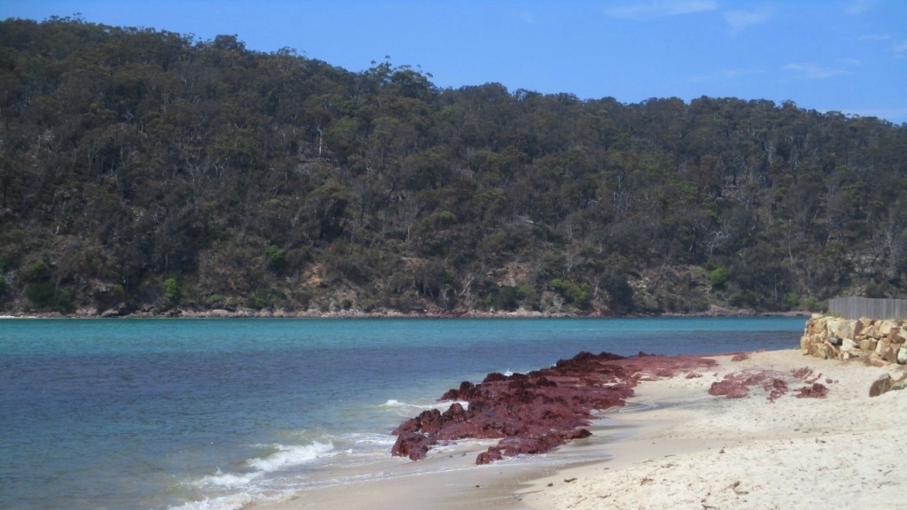 pambula-river