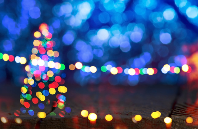 Christmas celebrations to light up Glebe Park
