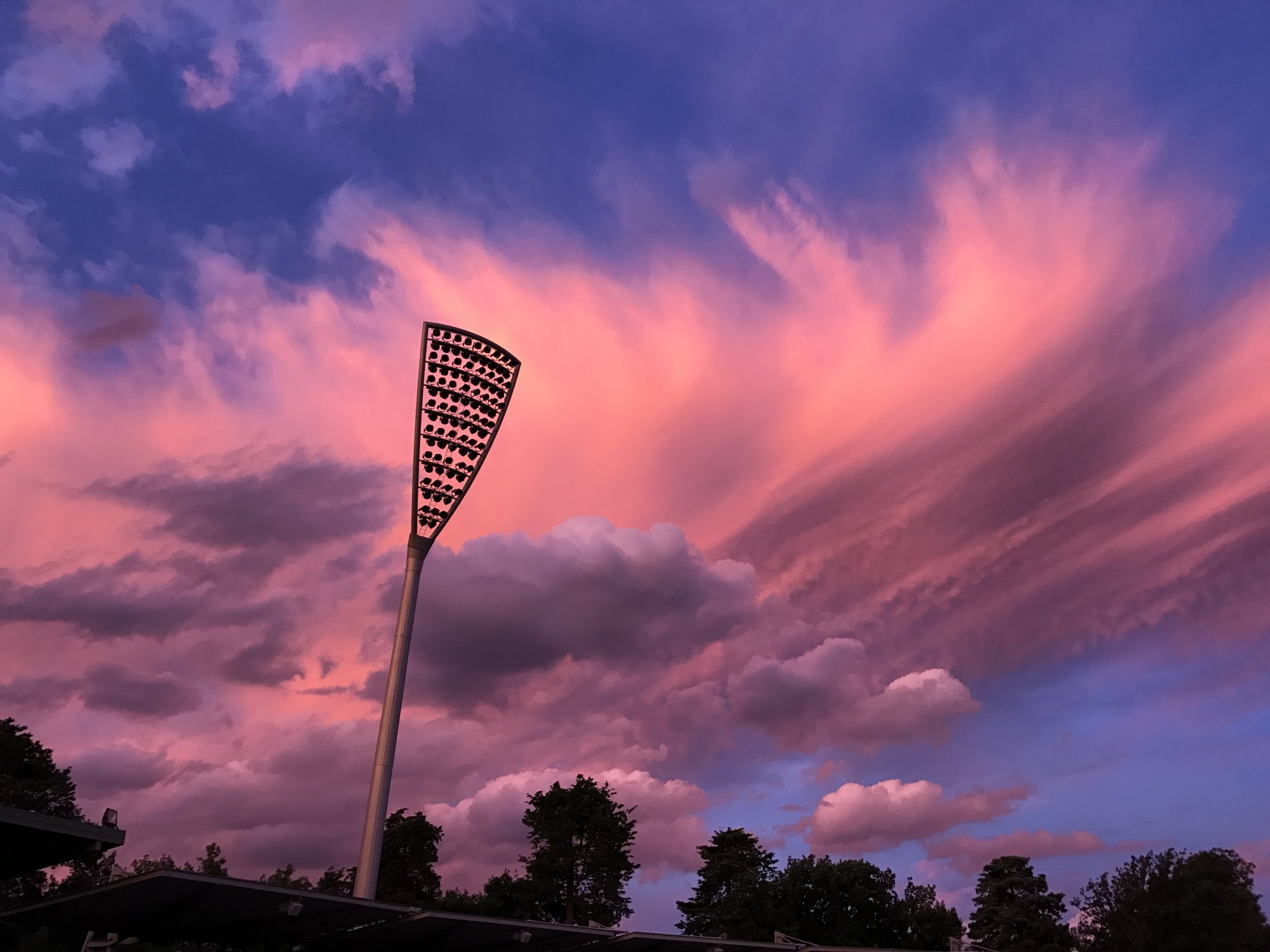 Feathered clouds at Manuka Oval. Photo: Charlotte Harper