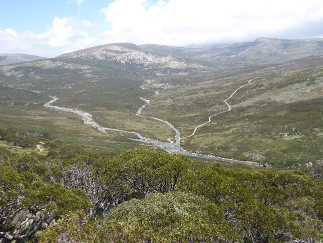View back to Main Range from boardwalk at Charlotte Pass