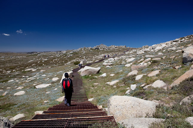 Mt Kosciuszko