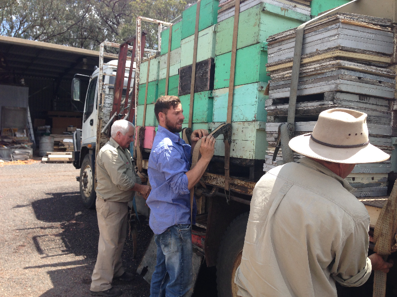 Three generations of beekeepers Len, Nathan and David Walker return with their country honey harvest.