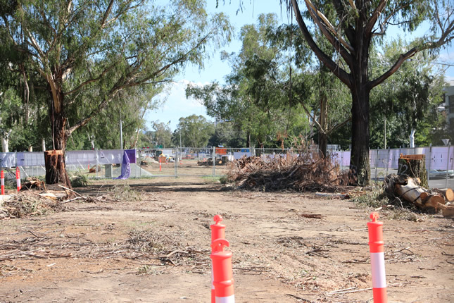 How can we fix Northbourne Avenue?
