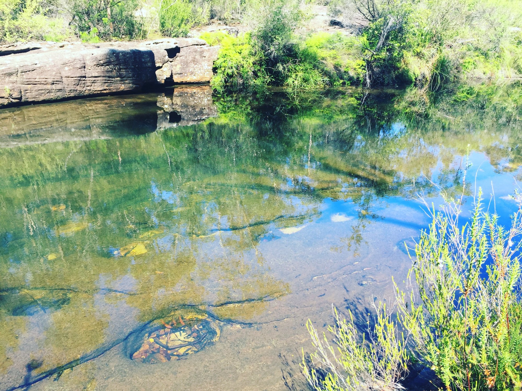 Karloo pools