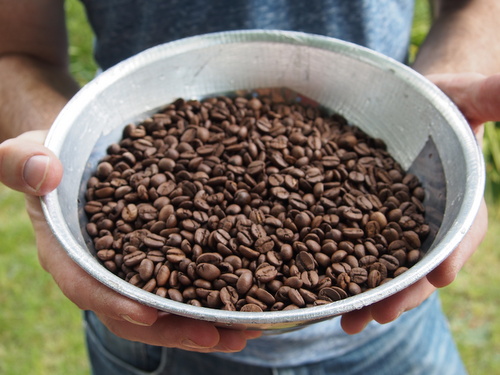 A bowl of coffee beans