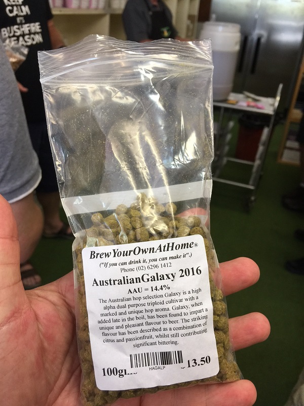 homebrew hops