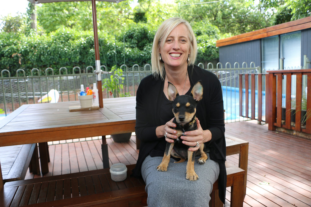 Former ACT chief minister Katy Gallagher joins RSPCA ACT board