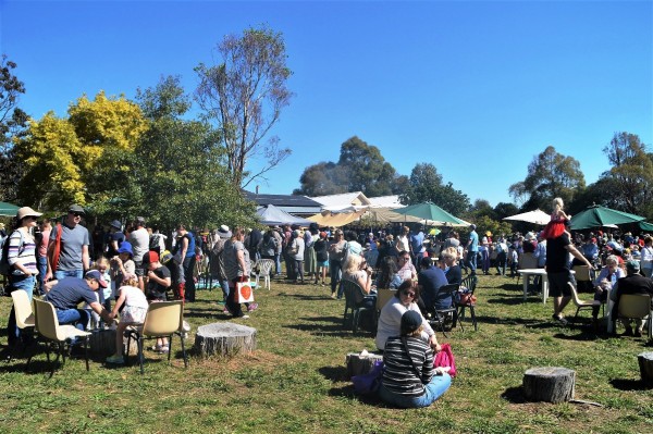 The large crowd at Apple Day