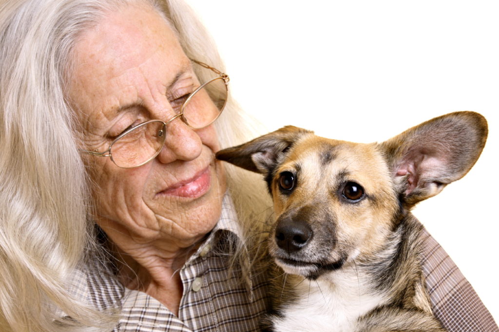 Old pets. Бабушка с собачкой. Бабушка с собакой. Бабка с собакой ВК. Senior Dog.