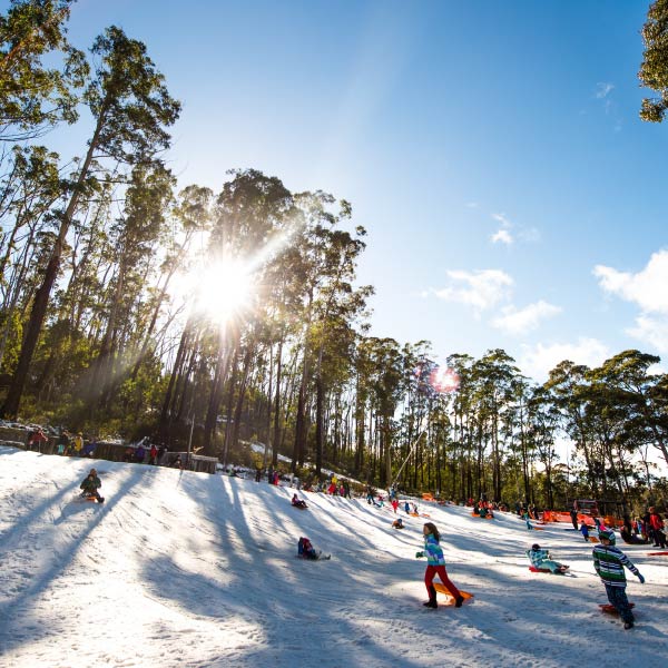 Eight things to do around Canberra this June long weekend