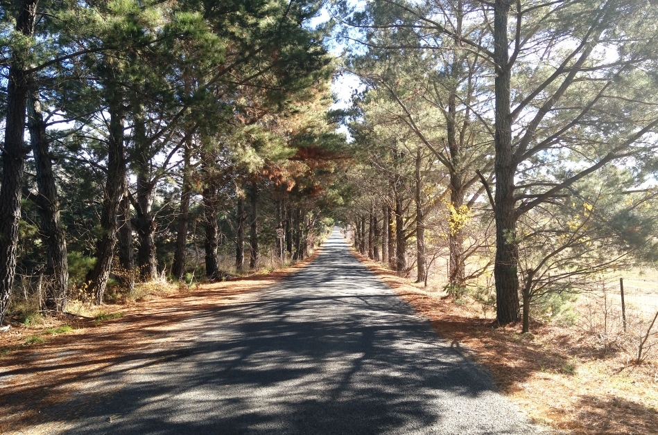 Poachers Pantry A Relaxing Country Lunch Destination The Riotact