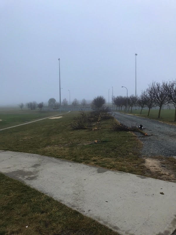 Amaroo Oval facilities damaged by stolen bobcat