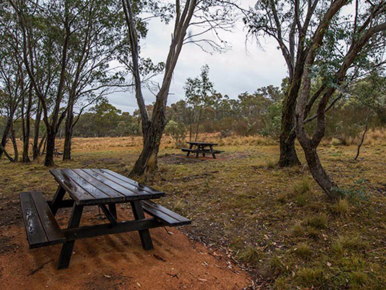 apple box picnic Yanununbeyan State Conservation Area Canberra Day Trips
