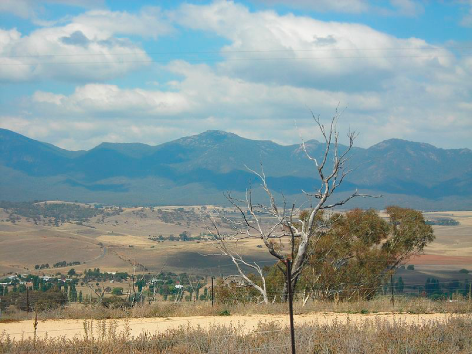 Canberra Day Trips: Michelago