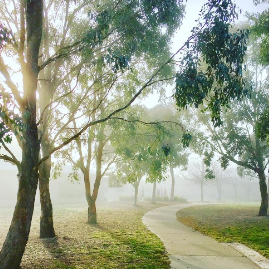 Photograph by Hou Leong - Cold morning at local school