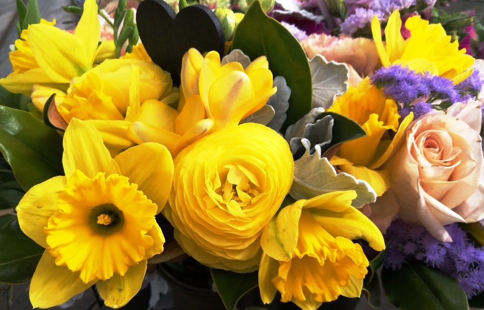 Spring has sprung: time to meet some of Canberra's fabulous florists