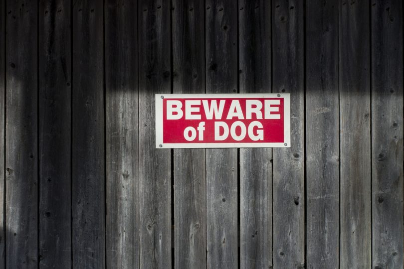 Beware of Dog