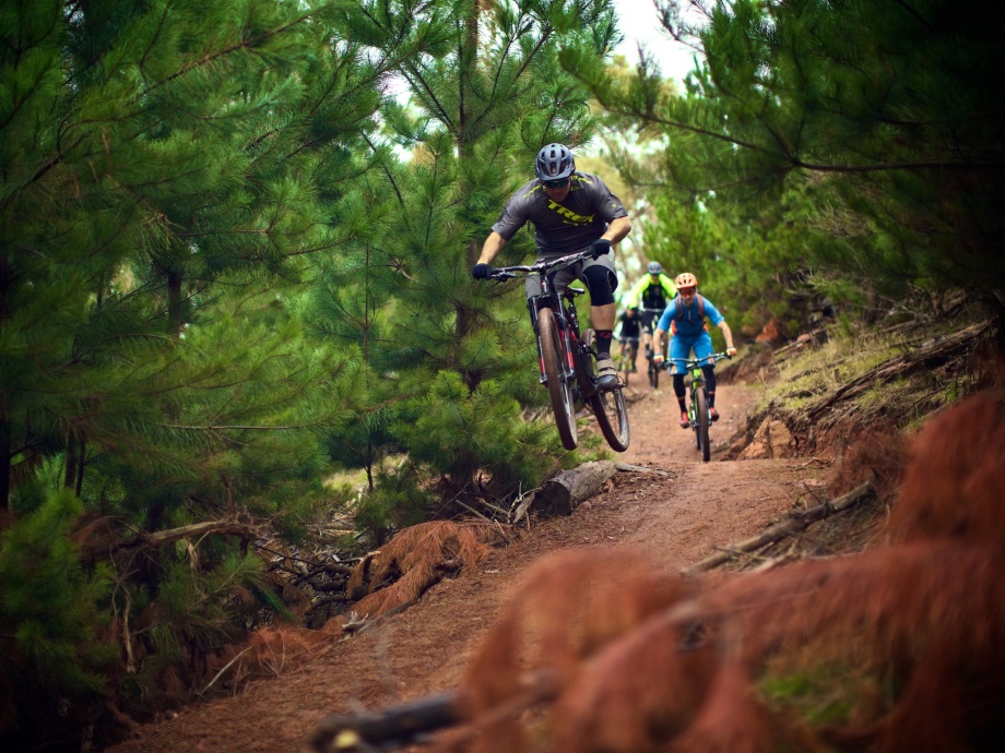 Riding high: How Majura mountain bikers saved trails from logging
