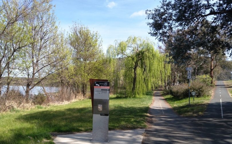 The path along the side of the Lake is well-marked and it is possible walkers might see Bogong moths and frill-necked lizards.