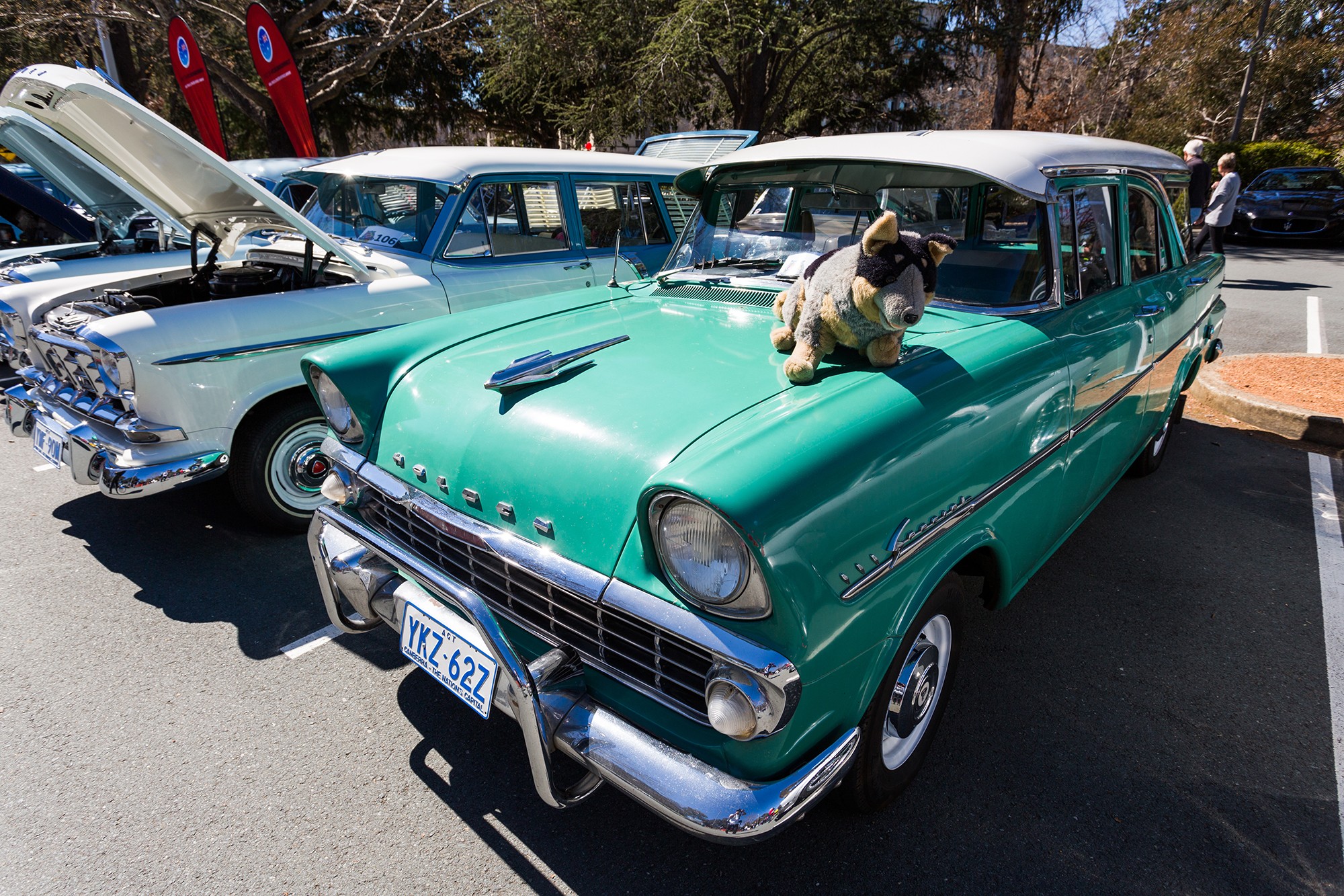 Classic cars cruise though Canberra for Camp Quality