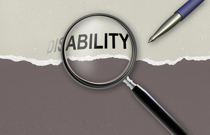 Disability Inclusion Grants