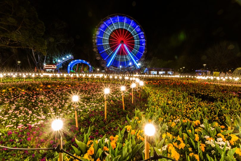 Floriade Nightfest 2017