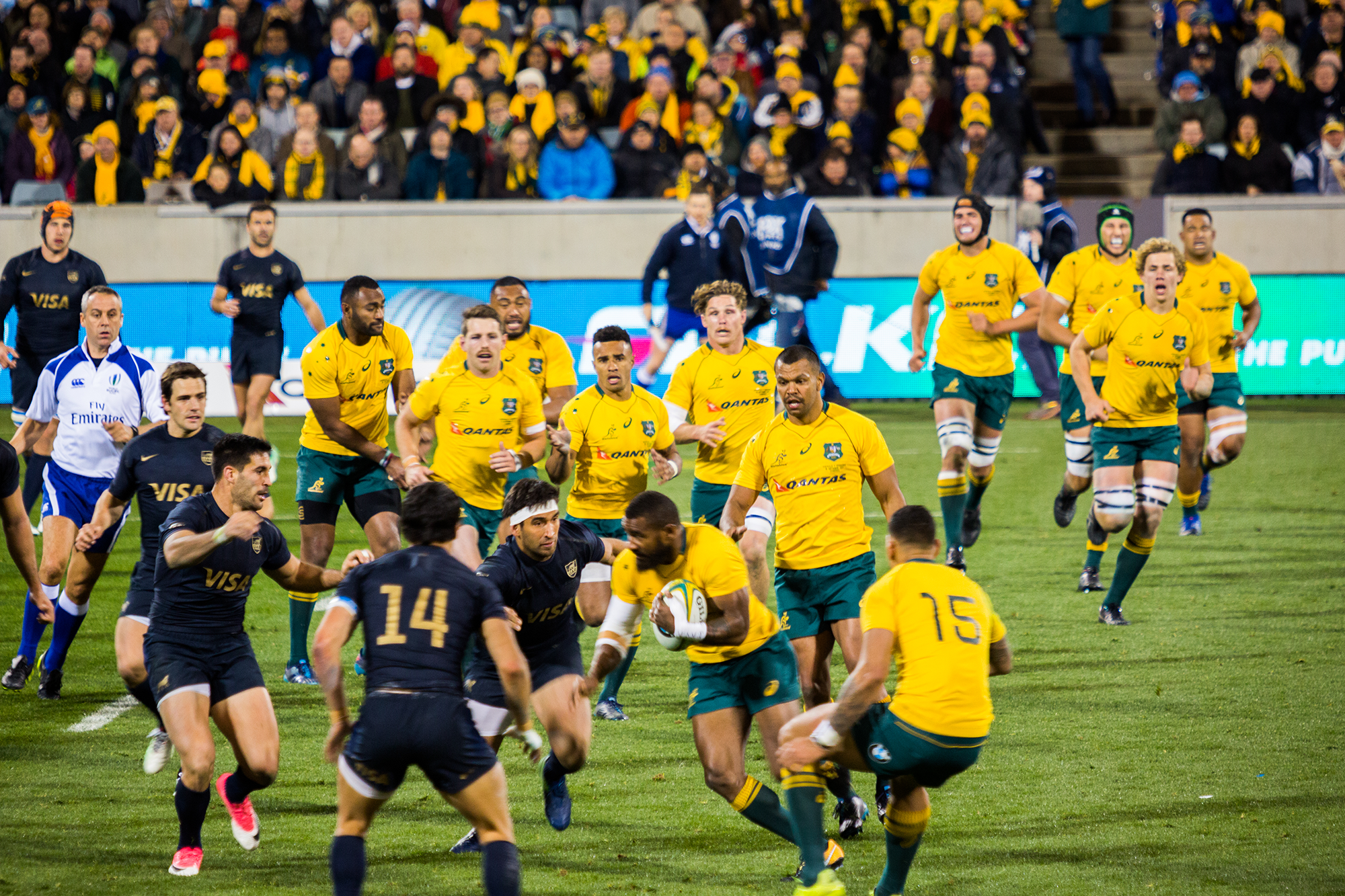 Wallabies reward Canberra faithful with win over the Pumas