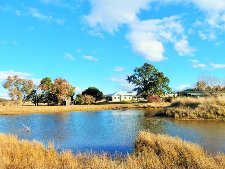 Country escape close to Canberra comes with family cafe, cubby and two flats