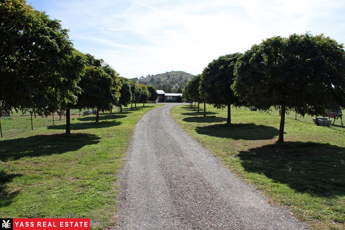 Yass property with charming house a horse-lover’s dream