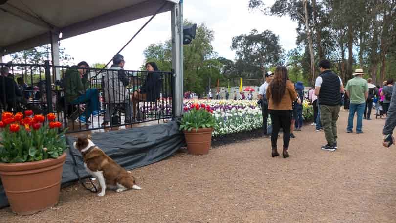 Image of Floriade