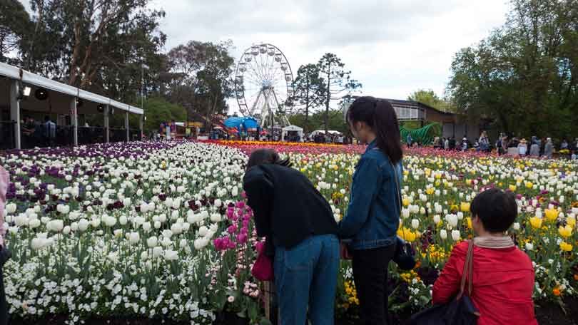 Image of Floriade