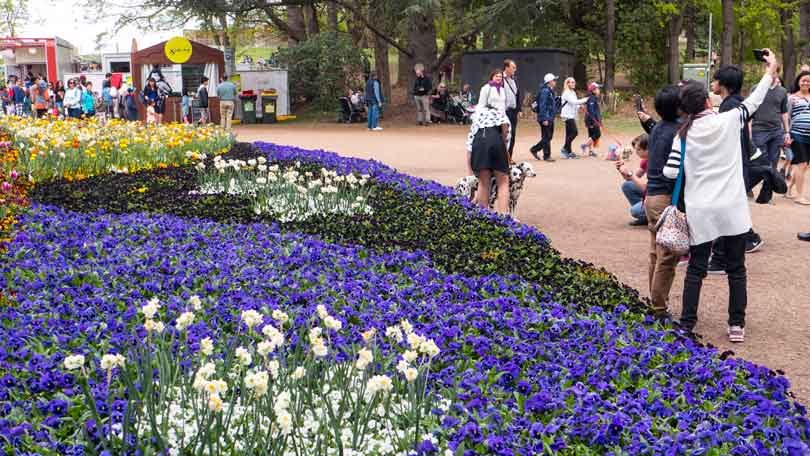 Image of Floriade