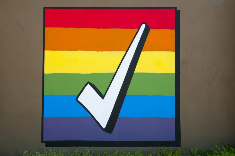 Rainbow flag with YES tick in front