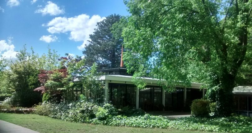 building and trees