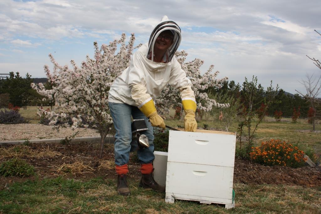 Climate threat to region’s honey bees