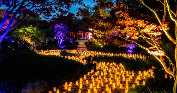 Grand Masterchef to treat Nara Candle Festival goers to 13th century Japanese Knife Cutting Ceremony