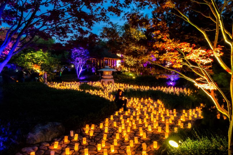 Canberra Nara Candle Festiva