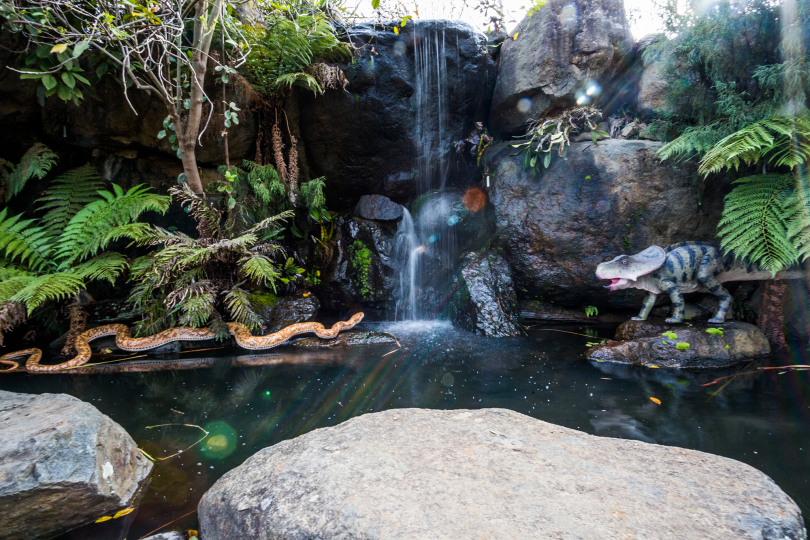 Australian National Botanic Gardens