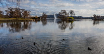 Triathlon festival to go ahead despite closure of Lake Burley Griffin