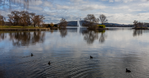 Lake Burley Griffin remains closed as algae levels remain high