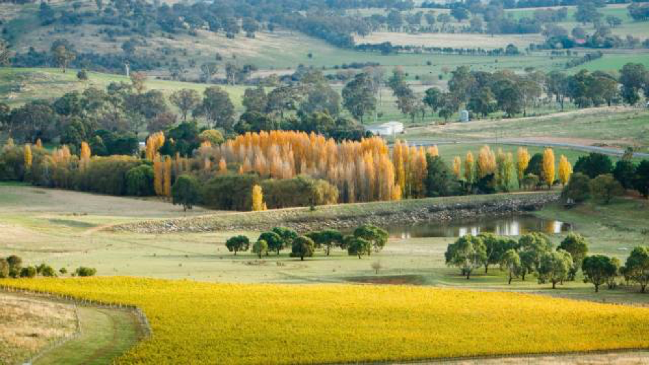 Canberra Day Trips: Poachers Way Food and Wine Trail