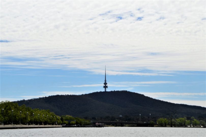 Views of Telstra Tower from the water. Photo by Glynis Quinlan.