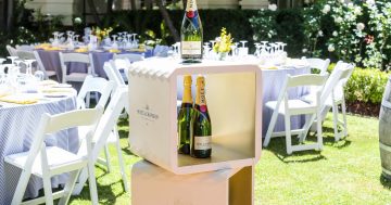 Hyatt Hotel Canberra signature Melbourne Cup “The Garden Celebration”