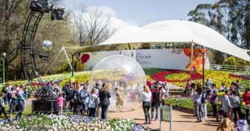 Floriade to still bloom despite $1.2 million overspend last year