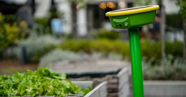 Canberra entrepreneurs preparing to launch world’s first multi-purpose gardening robot