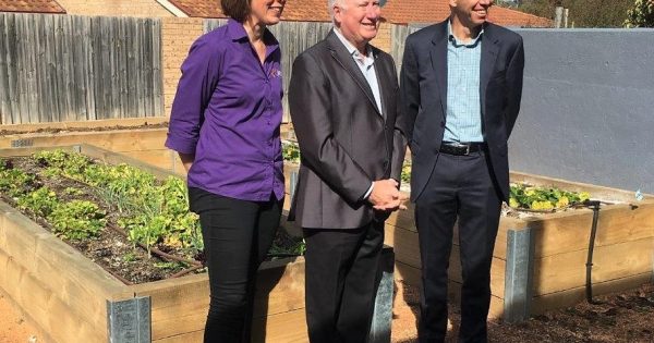 New community gardens for multi-unit developments in Belconnen and Lyneham