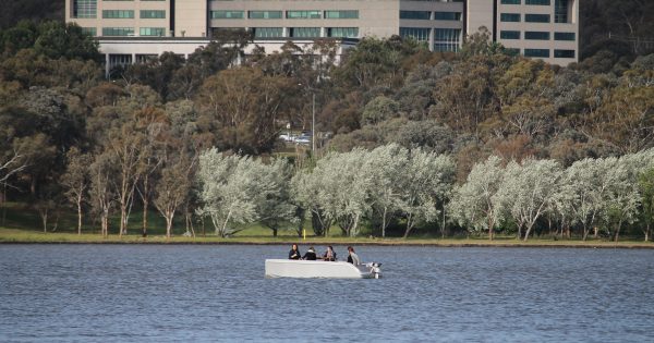 Canberra’s self drive picnic boats: GoBoats comes to Lake Burley Griffin