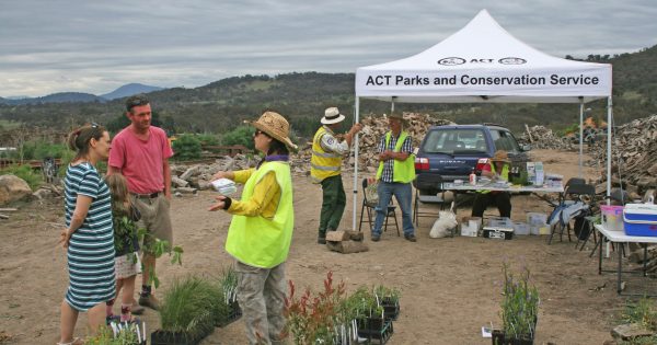 Trade your garden weeds for native plants this weekend