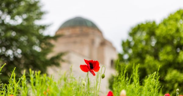 Ten things to do around Canberra this ANZAC Day long weekend (25–28 April)